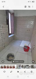 Piastrellista Muratore con esperienza - Disponibil