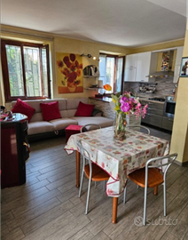 Grazioso appartamento arredato Sandigliano