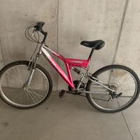 Bicicletta  grigio rosa
