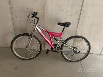 Bicicletta  grigio rosa