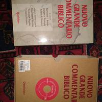 grande commentario biblico queriniana 