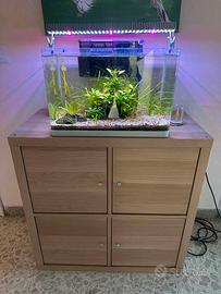 Acquario completo con mobiletto