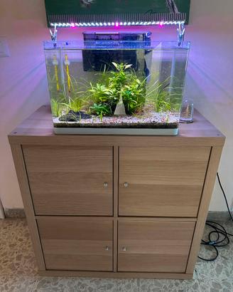 Acquario completo con mobiletto