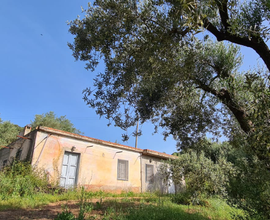 Terreno Ogliastra con casa da ristrutturare