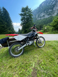 Beta rr 50 - 2006