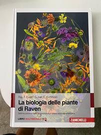 La biologia delle piante di Raven - Libri e Riviste In vendita a Ragusa