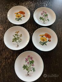 Piatti collezione