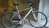 City Bike uomo (COPPI )