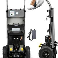 Carrello saliscale elettrico