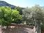 Immagine 19