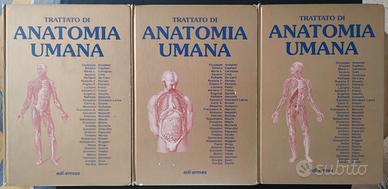 Trattato di Anatomia umana Anastasi, edizione oro