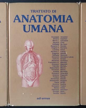 Trattato di Anatomia umana Anastasi, edizione oro