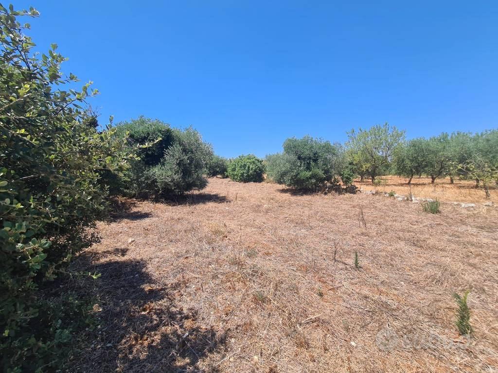 Terreno di 2900 m² a Alberobello - Vista 3