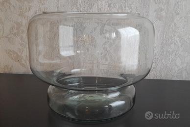 Boccia in vetro per pesci