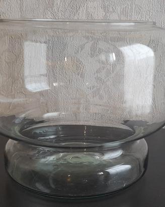 Boccia in vetro per pesci