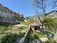 Immagine 19