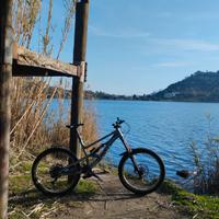 canyon torque enduro