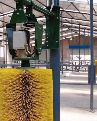 Spazzola per bovini