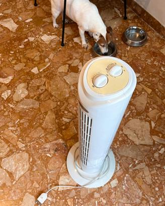 Ventilatore a colonna Howell VETT761MQ