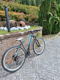 bicicletta