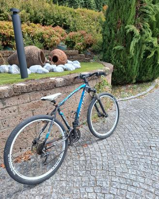 bicicletta