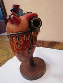 Cuore di cavallo in gesso