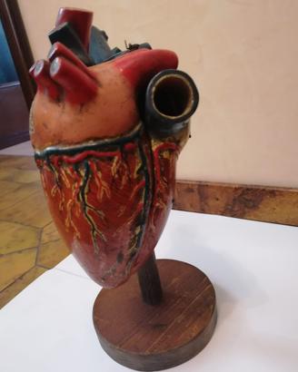 Cuore di cavallo in gesso