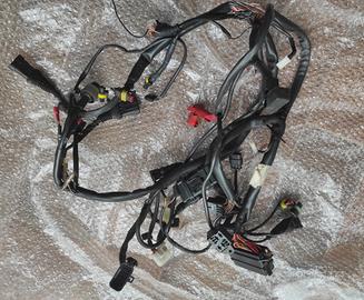 cablaggio elettrico Ducati