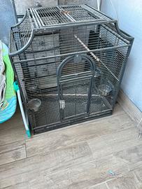 Gabbia per pappagalli