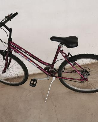 MTB ruote 26