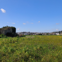 Terreno agricolo con fabbricato