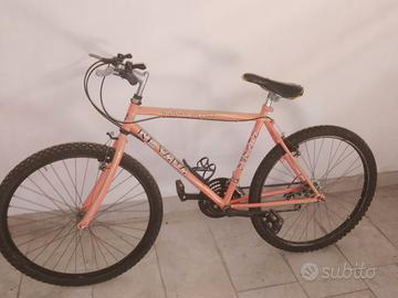 biciclette 