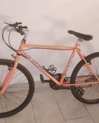 biciclette 