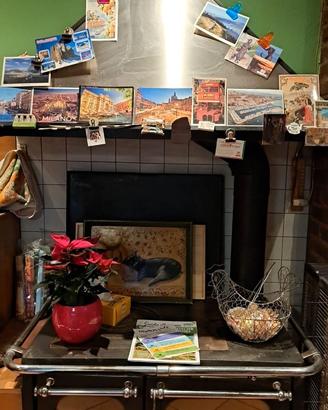 Stufa a legna sovrana Nordica