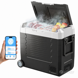 FRIGO PORTATILE COMPRESSORE (ULTIMO)