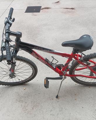 bici da ragazzo 24