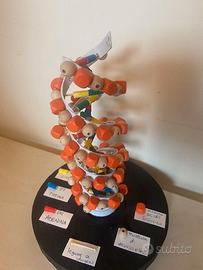 MODELLINO DI  DNA  scolastico