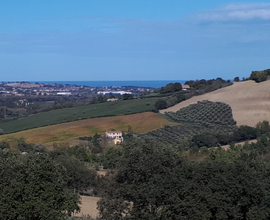 Terreno con casale in provincia di Ancona