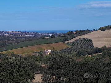 Terreno con casale in provincia di Ancona