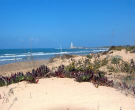 Casa vacanza sul mare Sicilia LAST SETTEMBRE leggi
