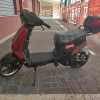 Bici elettrica