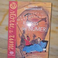 IL MAGO DEI NUMERI