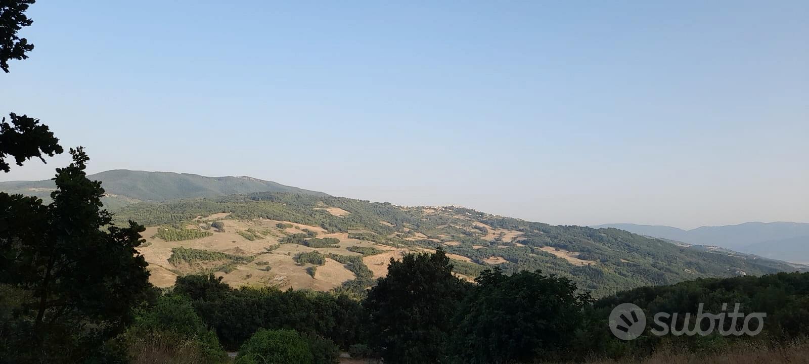 MASSERIA CON QUERCIA SECOLARE E POZZO ARTESIANO - Vista 5