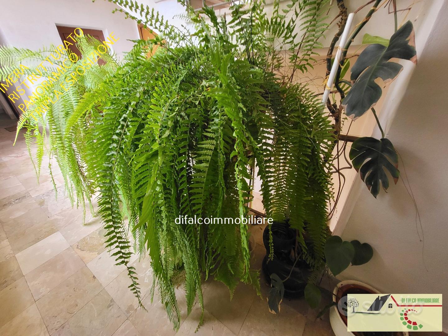 Apartment in Agrigento, Bibirria, Villaseta - Vista 4
