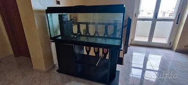 acquario 240lt  con mobile 
