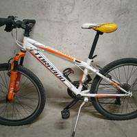 Bici  MTB Torpado Viper 24