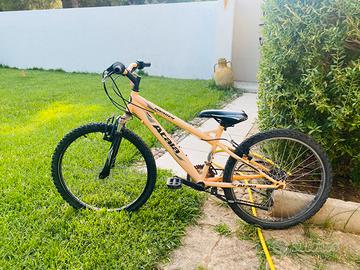 Mountain bike