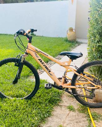 Mountain bike