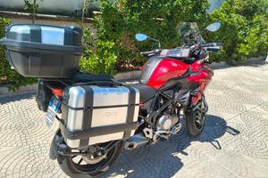 Benelli TRK 502 stradale 2020