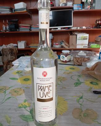 Grappa prime uve 